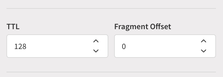 TTL and Fragmentation