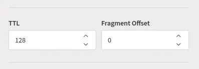 TTL and Fragmentation