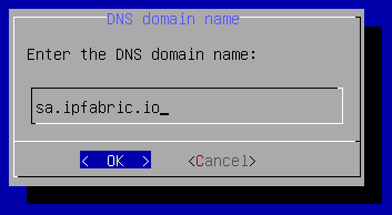 Enter the DNS domain name