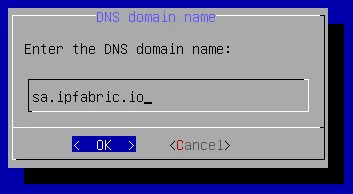 Enter the DNS domain name