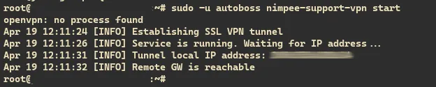 Start VPN from CLI